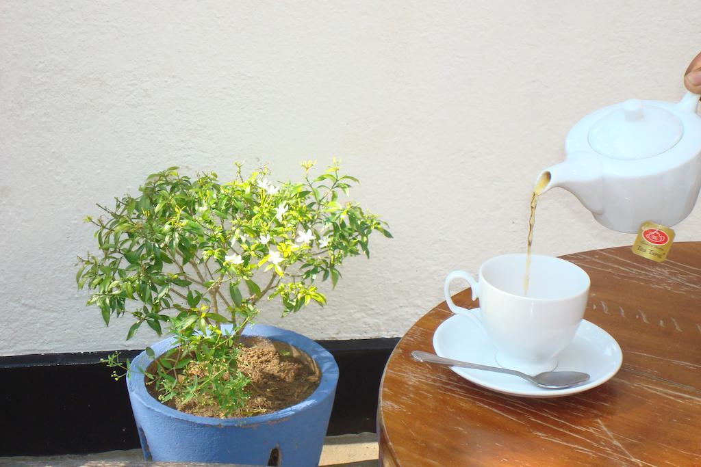 Blue Seas Guest House Dehiwala-Mount Lavinia Екстер'єр фото