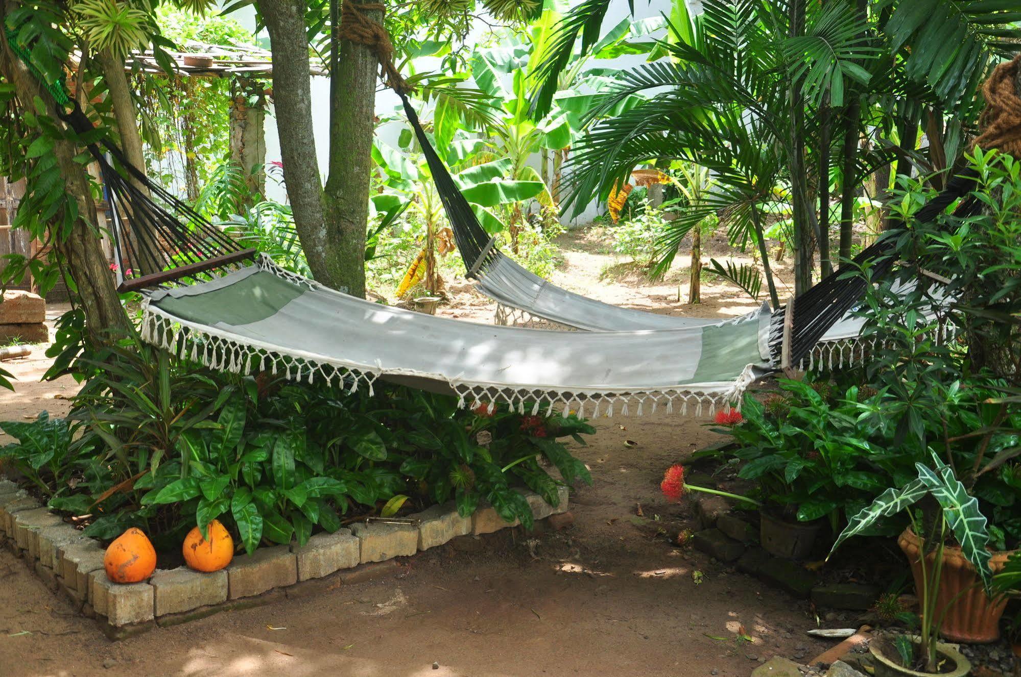 Blue Seas Guest House Dehiwala-Mount Lavinia Екстер'єр фото